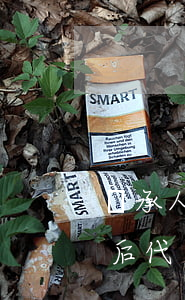 繼承人死亡由什么人來繼承(繼承人先死亡的,后代還能繼承嗎)