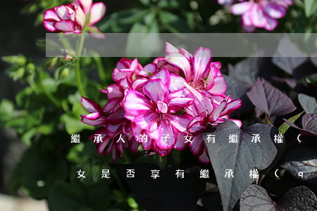 繼承人的子女有繼承權(quán)嗎(繼子女是否享有繼承權(quán)?)