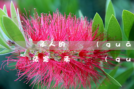 繼承人的親屬關(guān)系證明怎么開(法定繼承親屬關(guān)系證明)