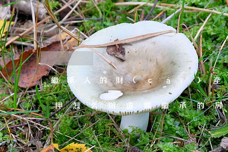繼承人的財(cái)產(chǎn)被抵押怎么辦(遺囑繼承的房子被抵押)
