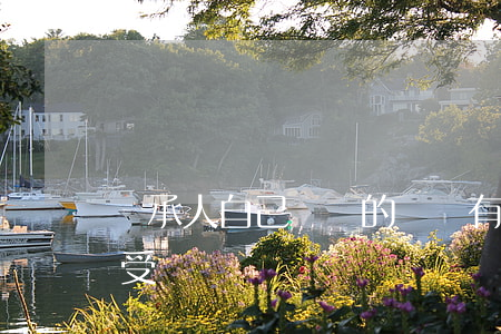 繼承人自己帶書的遺囑有效嗎(繼承人如何接受遺囑)