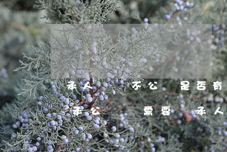 繼承人遺囑不公證是否有效嗎(公證遺囑辦理繼承公證還需要繼承人都在嗎)