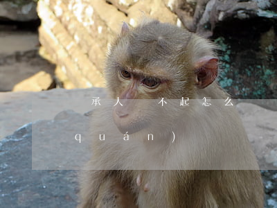 繼承人還不起怎么辦(繼承人不喪失繼承權(quán))