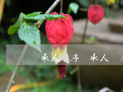 繼承人順序(繼承人順序分配原則)