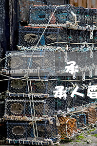 繼承債務(wù)包括什么(債務(wù)繼承人要承擔(dān)嗎,債務(wù)承擔(dān)的原則)