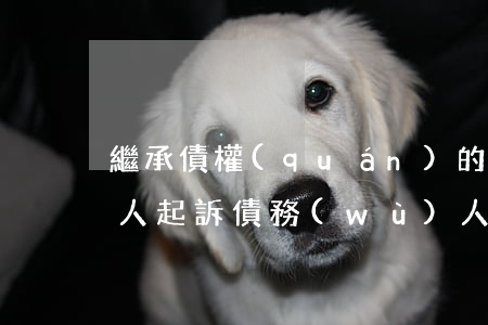 繼承債權(quán)的訴訟狀怎么寫(繼承人起訴債務(wù)人訴狀)