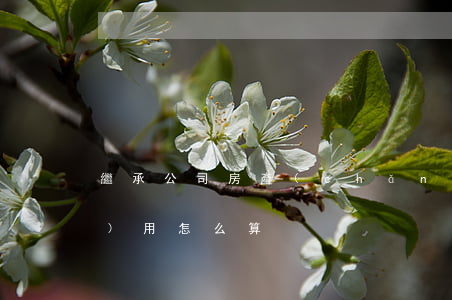 繼承公司房產(chǎn)過戶費(fèi)用怎么算