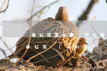 繼承公示怎么弄(為什么房產(chǎn)繼承公示時(shí)間要兩個(gè)月)