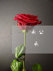 繼承公證中死亡證明怎么開(人死亡辦理公證繼承)