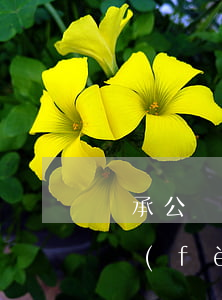 繼承公證做的房產(chǎn)評估怎么收費(fèi)(繼承公證做的房產(chǎn)評估怎么收費(fèi))