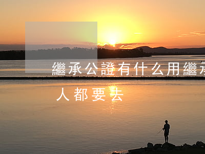 繼承公證有什么用(繼承公證 是不是所有繼承人都要去)