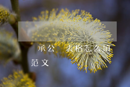繼承公證表格怎么填寫(繼承公證書的格式及范文)