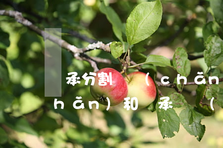 繼承分割財產(chǎn)嗎(分割財產(chǎn)和繼承遺產(chǎn)的區(qū)別)