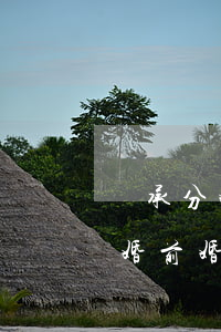 繼承分婚前婚后嗎(遺產(chǎn)繼承分婚前婚后嗎)