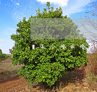 繼承分婚前婚后嗎(遺產繼承分婚前婚后嗎)