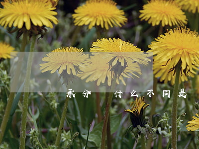 繼承分為什么不同(是繼承還是繼承)