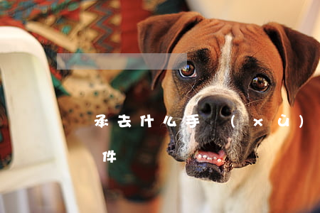 繼承去什么手續(xù)(辦理繼承需要什么條件)
