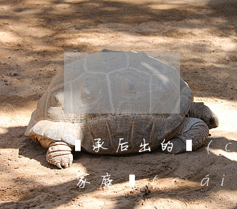 繼承后出的產(chǎn)證份額怎么確定(家庭財(cái)產(chǎn)繼承份額怎么分?)