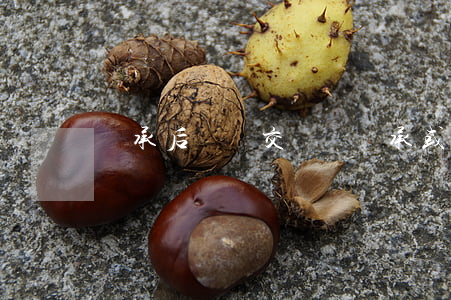 繼承后贈與交稅嗎(繼承或者贈與需要交稅嗎)