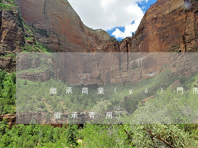 繼承商業(yè)門市需要交什么費用(商鋪繼承費用)
