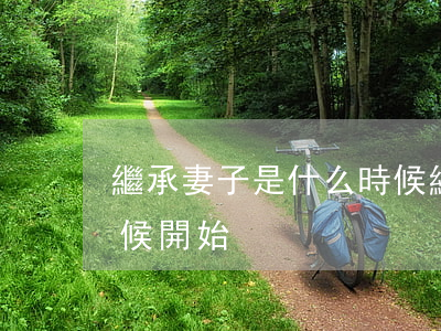 繼承妻子是什么時候(繼承從被繼承人什么時候開始)