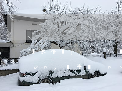 繼承婚內(nèi)財(cái)產(chǎn)嗎(婚內(nèi)繼承的財(cái)產(chǎn)是不是夫妻共同財(cái)產(chǎn))