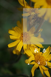 繼承存折公正手續(xù)需要什么手續(xù)(存折繼承公證怎么收費)