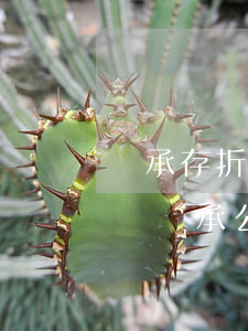 繼承存折公正手續(xù)需要什么(銀行存單繼承公證)