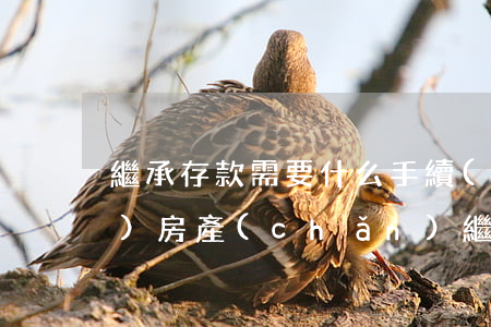 繼承存款需要什么手續(xù)費(fèi)(房產(chǎn)繼承需要什么手續(xù)費(fèi)用)