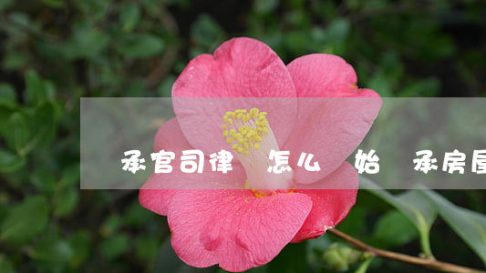 繼承官司律師怎么開始(繼承房屋糾紛律師)