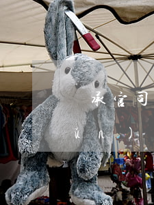 繼承官司律師收費標(biāo)準(zhǔn)(財產(chǎn)繼承官司律師怎么收費)