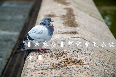 繼承家庭車牌需要怎么做(父母的車牌可以繼承嗎)