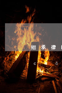 繼承律師房產(chǎn)(繼承律師房產(chǎn)南京)