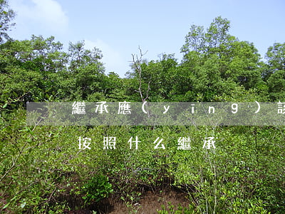 繼承應(yīng)該注意什么(繼承開始后按照什么繼承)