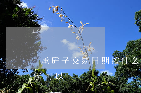 繼承房子交易日期按什么算(房產繼承什么時候可以買賣)