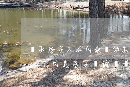 繼承房子又不同意賣的怎么辦(其中一個繼承人不同意,房子會被賣嗎)