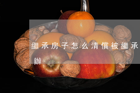 繼承房子怎么清償(被繼承人的債務清償怎么辦)