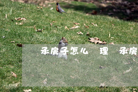 繼承房子怎么辦理(繼承房子如何辦理)