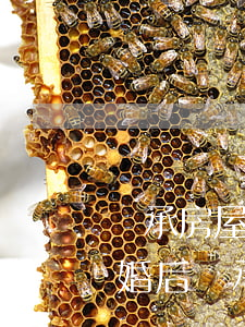 繼承房屋屬于共同財產(chǎn)嗎(夫妻婚后繼承的房產(chǎn)算是共同財產(chǎn)嗎)