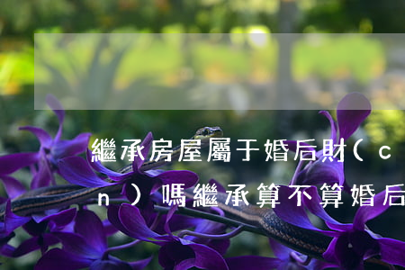 繼承房屋屬于婚后財(cái)產(chǎn)嗎(繼承算不算婚后財(cái)產(chǎn))
