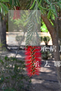 繼承房屋要什么手續(xù)怎么辦(房屋繼承去哪部門辦理?)