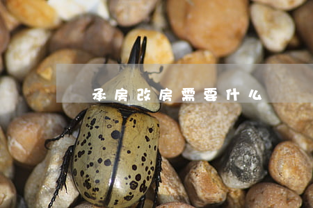 繼承房改房需要什么