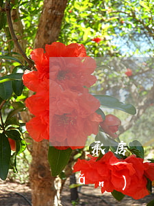 繼承房產(chǎn)再過戶嗎(房產(chǎn)繼承之后再過戶)