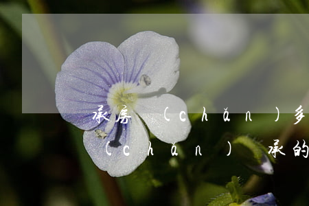 繼承房產(chǎn)多少錢(繼承法關于房產(chǎn)繼承的最新規(guī)定需要多少錢)