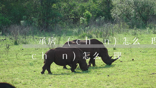 繼承房產(chǎn)怎么處理(繼承房產(chǎn)怎么處理)