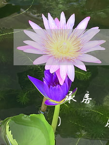 繼承房產(chǎn)更換房產(chǎn)證嗎(房產(chǎn)證 繼承)