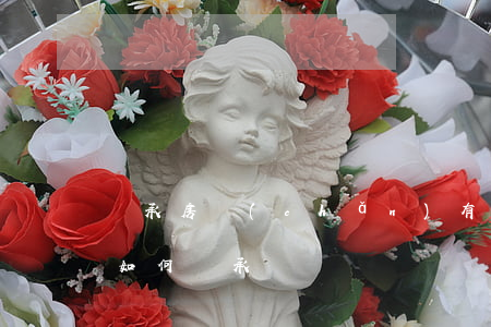 繼承房產(chǎn)有債務怎么處理(債務如何繼承)