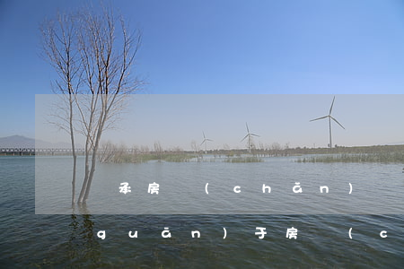 繼承房產(chǎn)稅怎么收(繼承法關(guān)于房產(chǎn)繼承的稅收)