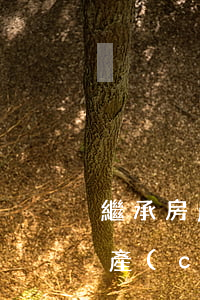 繼承房產(chǎn)簽字去不了怎么辦(遺產(chǎn)繼承有人不簽字怎么辦)