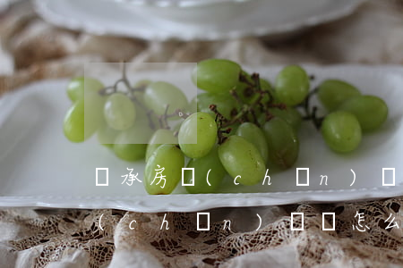 繼承房產(chǎn)糾紛怎么辦(繼承房產(chǎn)糾紛怎么辦)